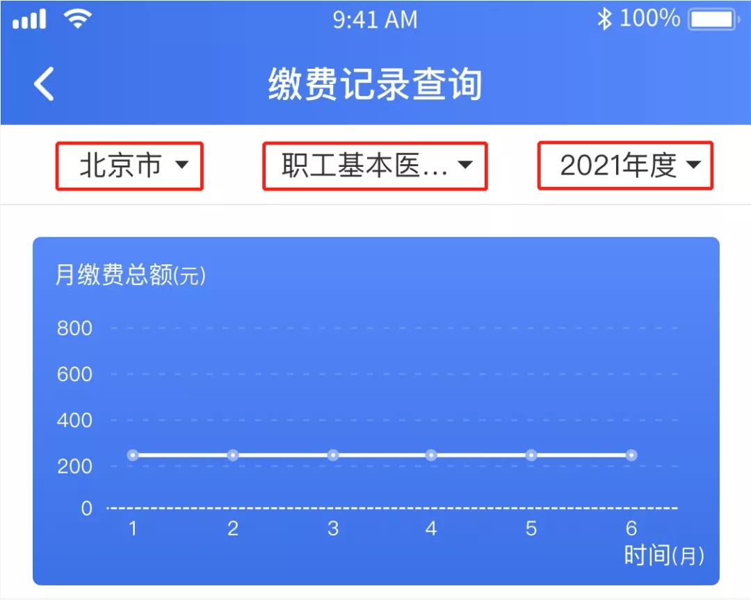 北京医保缴费记录查询