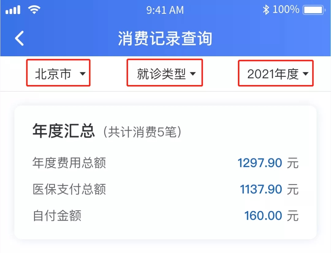 北京医保消费记录